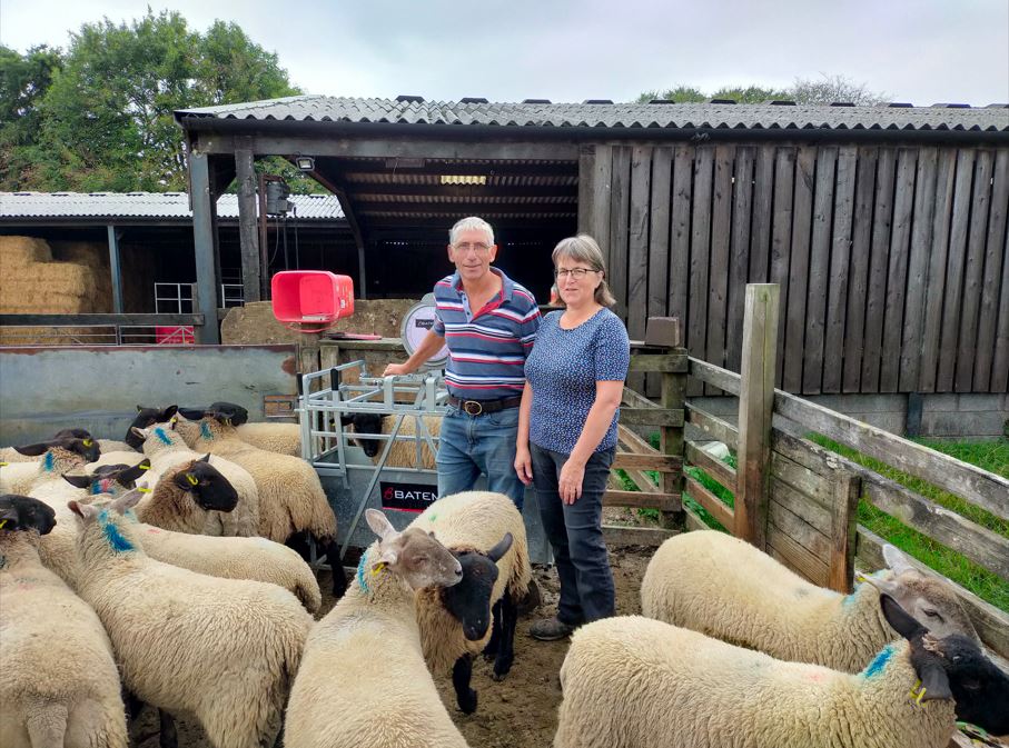 Bryan and Liz Griffiths with their sheep